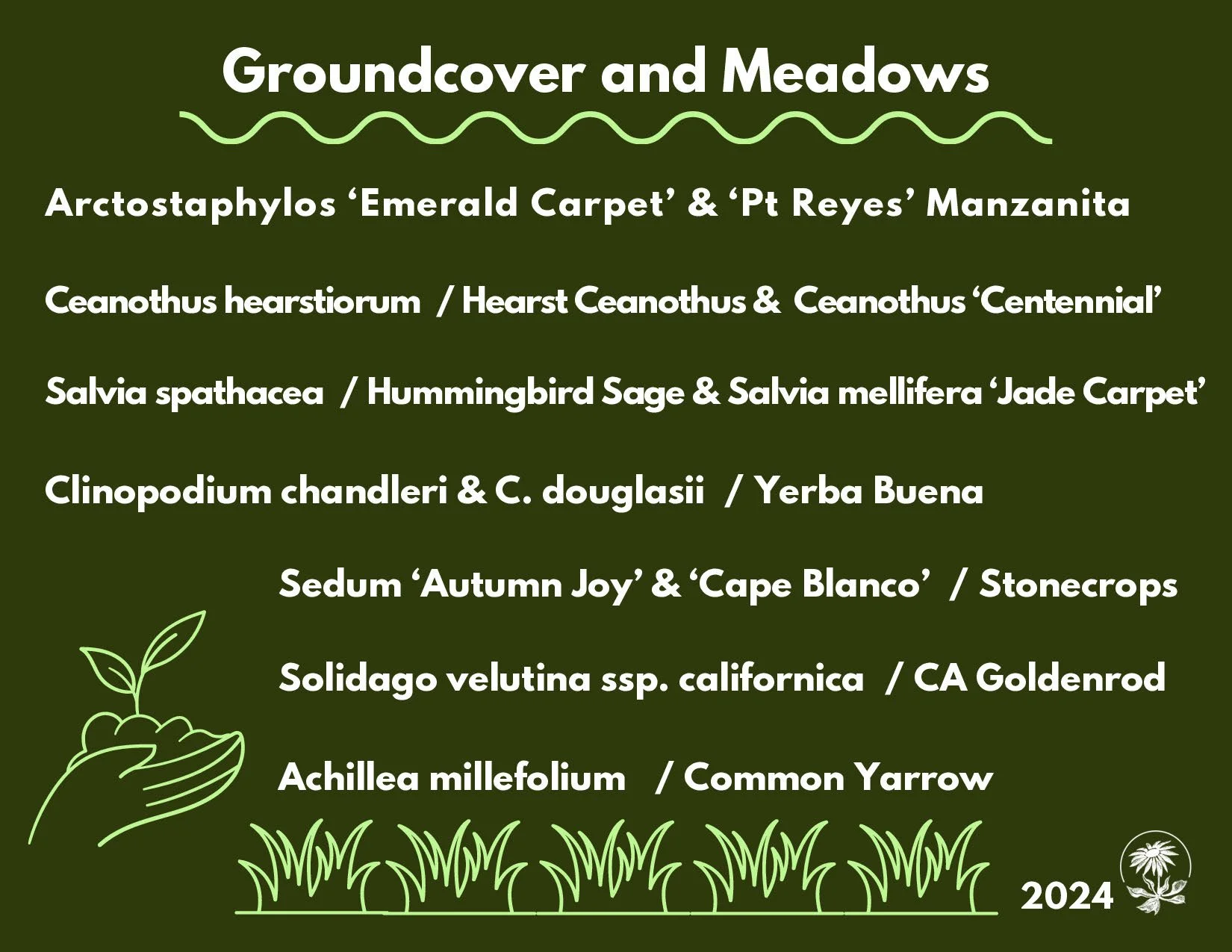 CNPSSD24_Postcard_Groundcover and Meadows Plants_Page_1.jpg