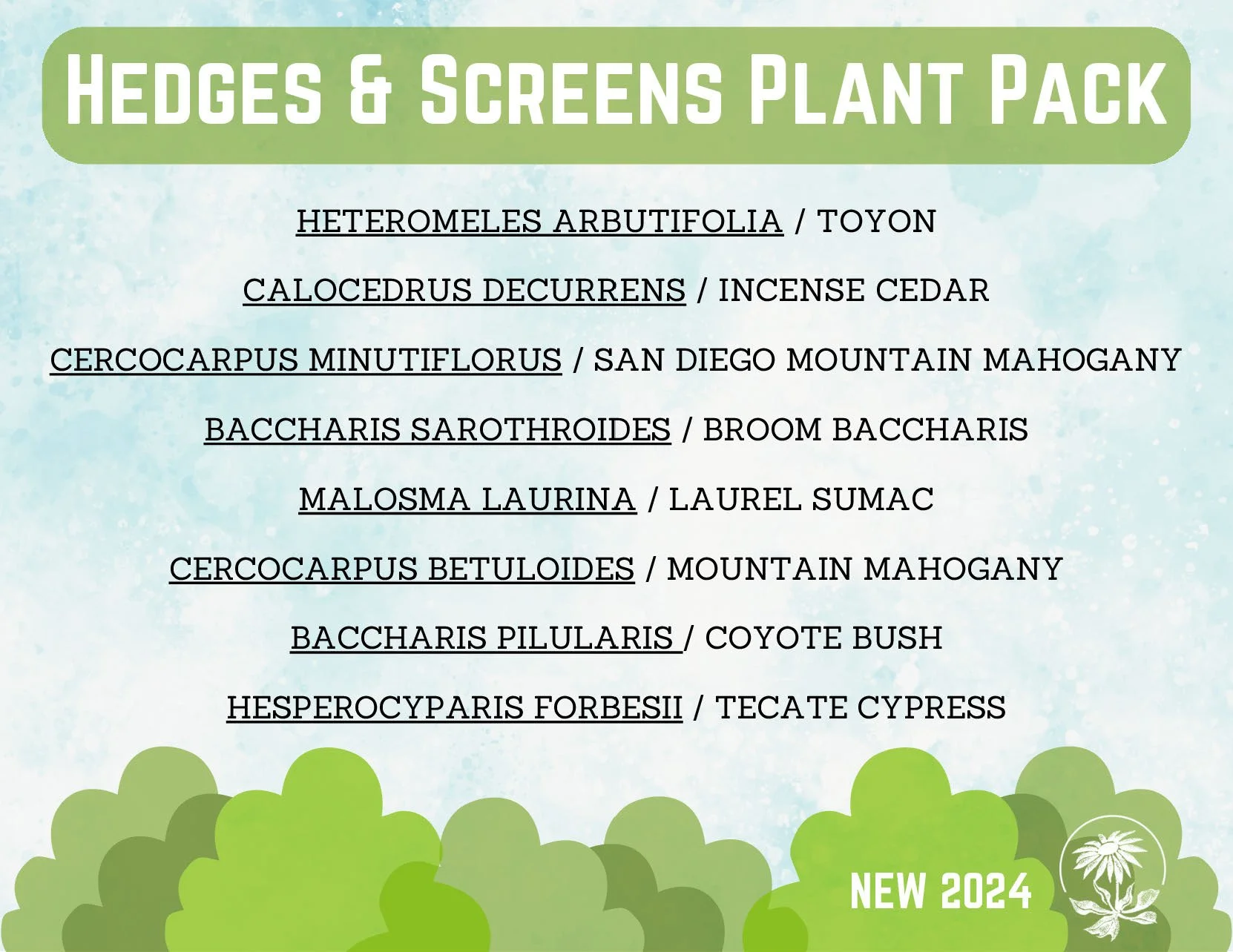 CNPSSD24_Postcard_Hedges Screens Plant Pack_Page_1.jpg