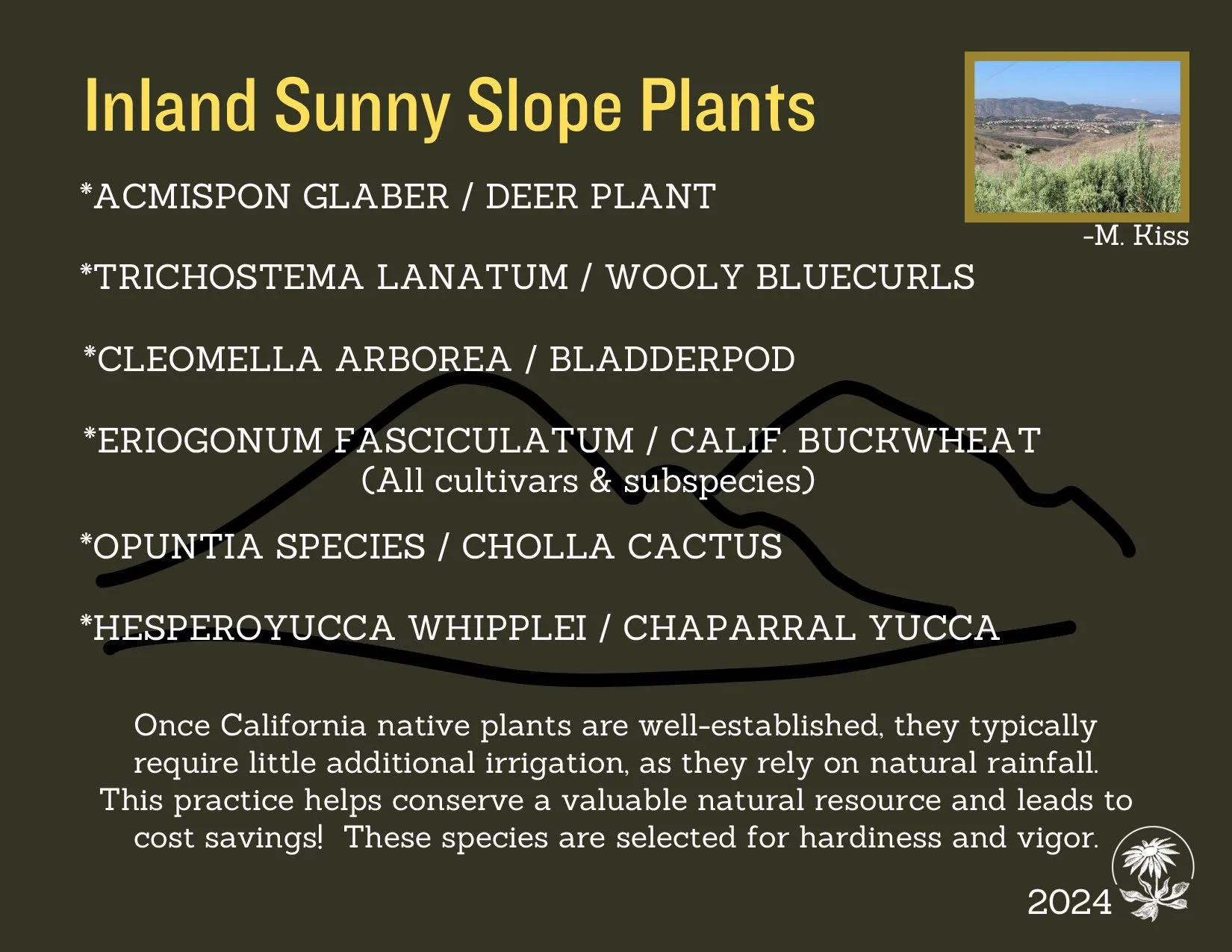 Native Plant Sale Fall 2024 - San Diego chapter - CNPS