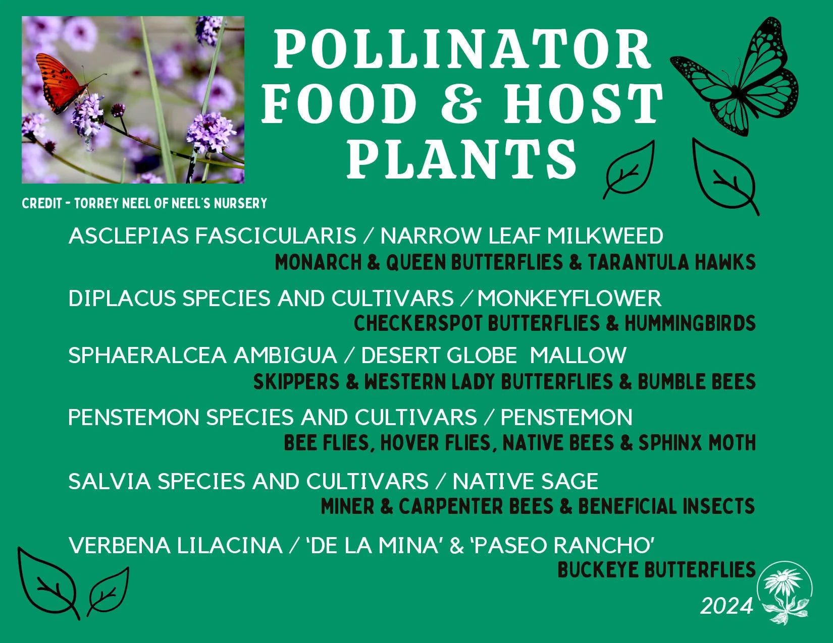 CNPSSD24_Postcard_Pollinator Plants Wildlife Pairs_Page_1.jpg