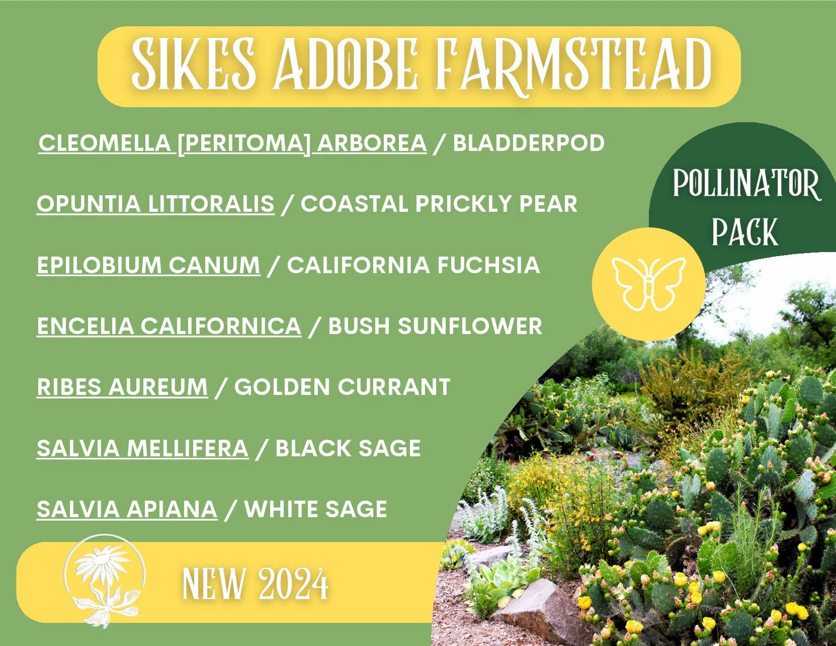 CNPSSD24_Postcard_Sikes Adobe Mix Plant Pack_Page_1.jpg