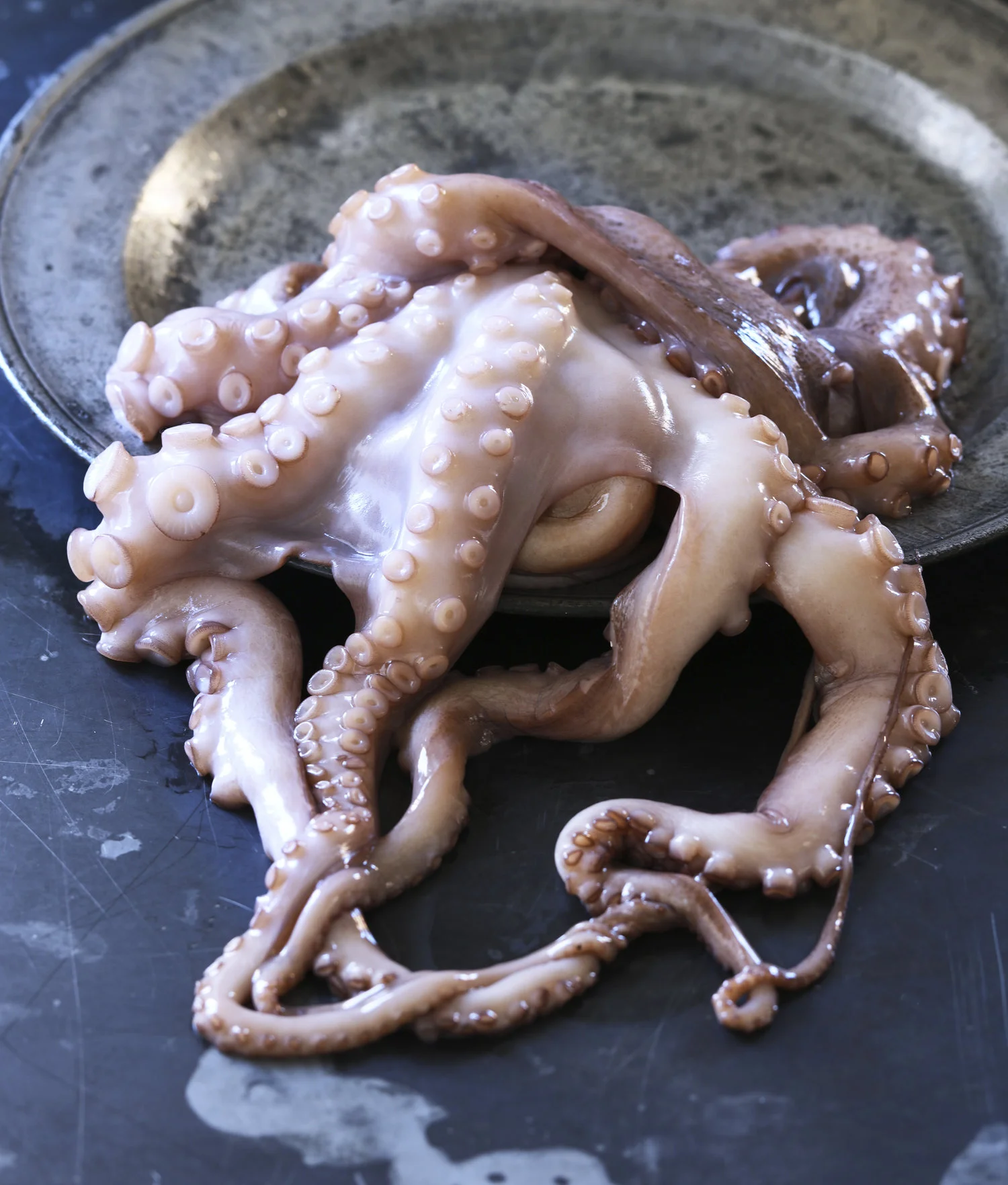 20170411RawOctopusPlate.jpg