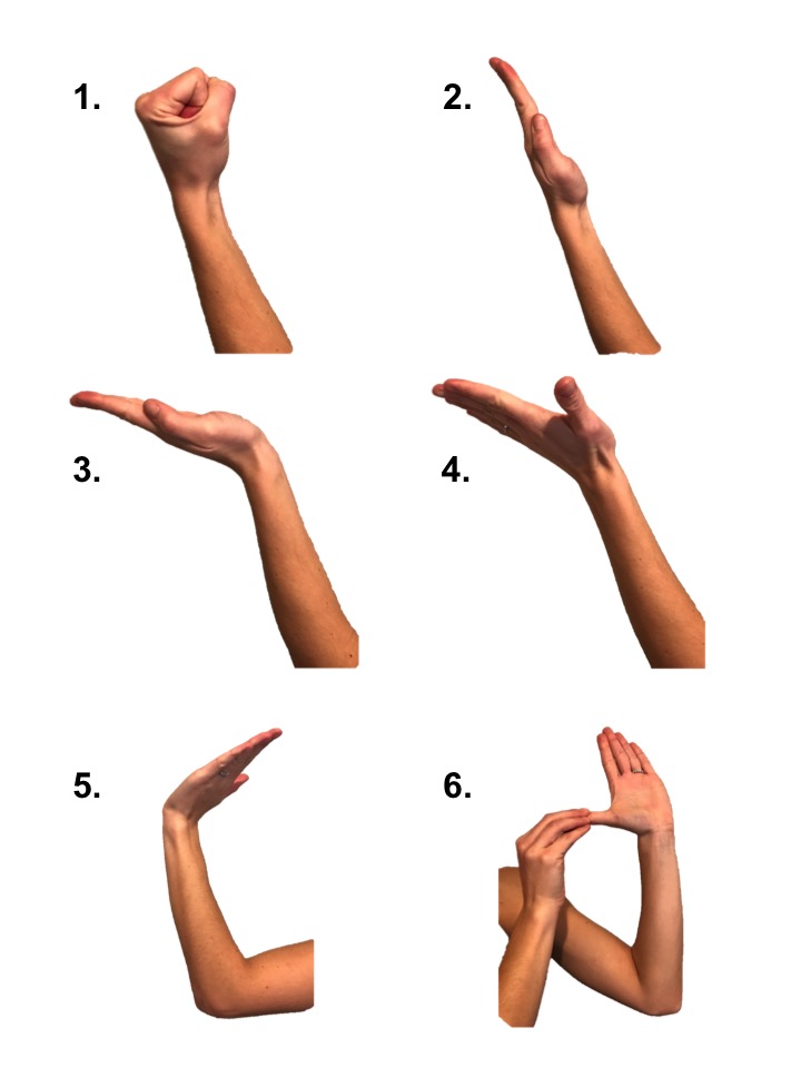 Nerve Gliding/Flossing stretches effective for Radial, Ulnar & Median nerve pain. | Facebook