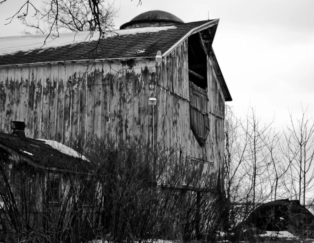 Huge barn. I have to go back. Didn't even go near it.