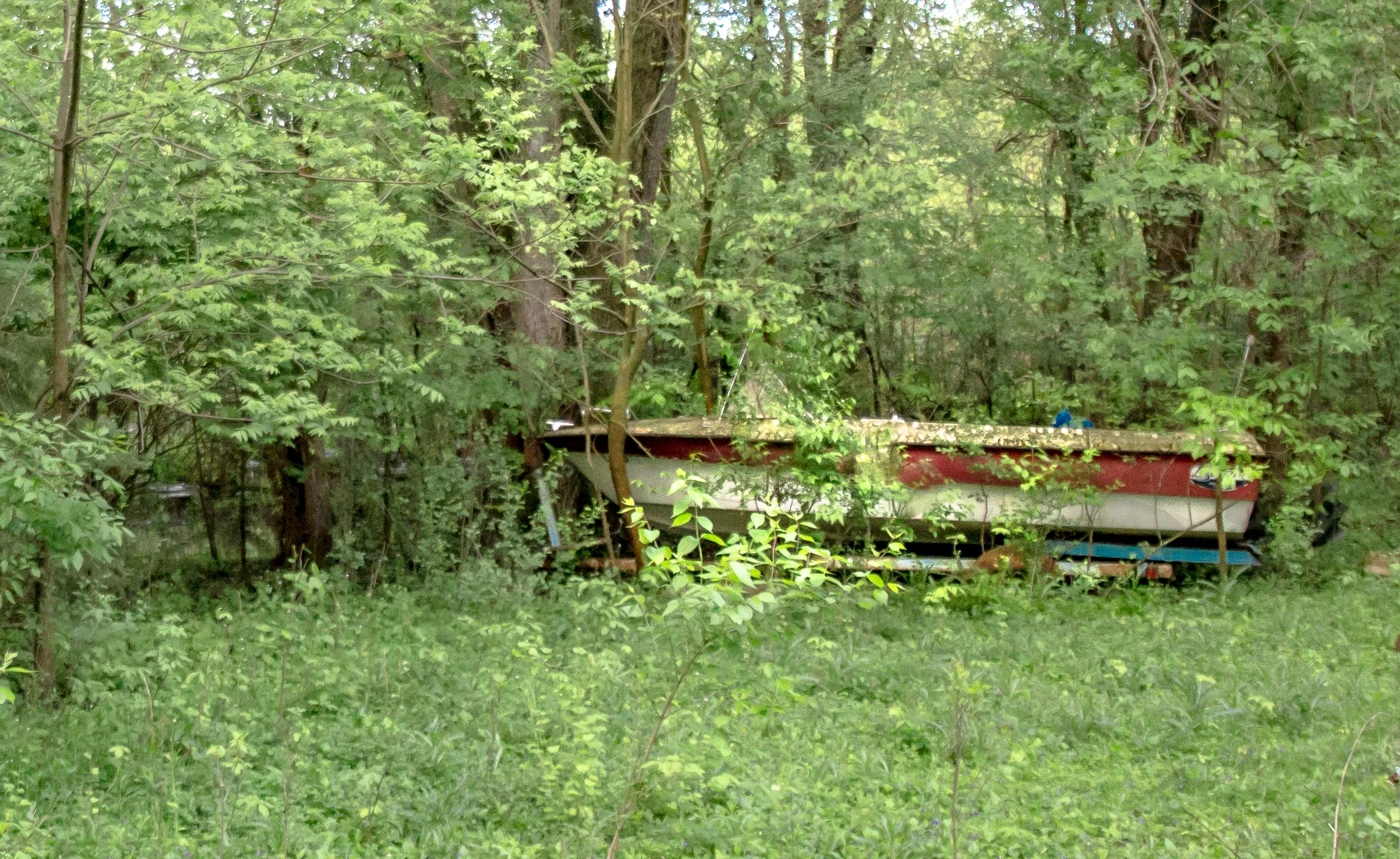 Boats. Everywhere. Walk up the gravel driveway: boat. Go a little bit more: 2 more boats. 