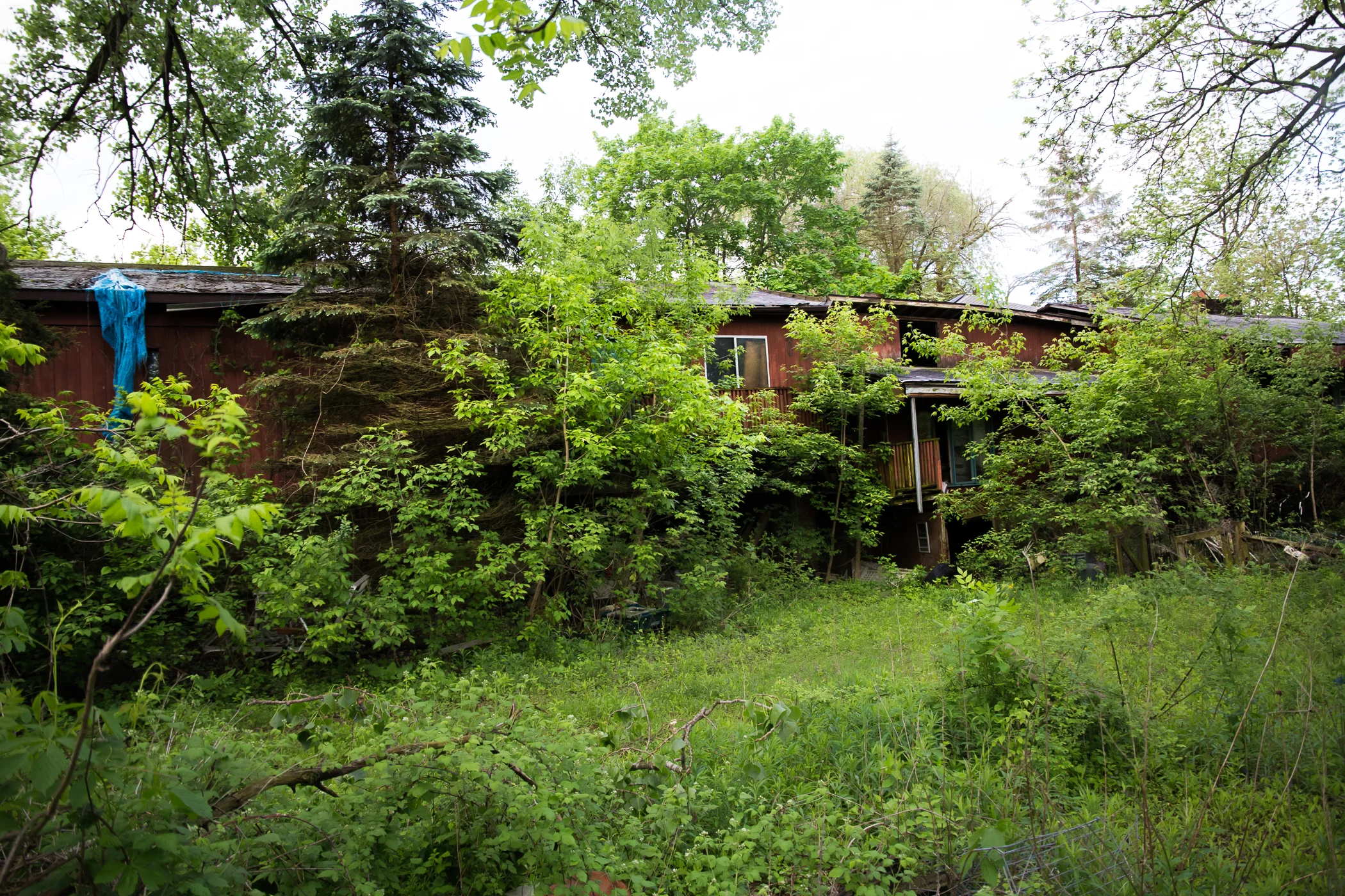 Then you walk in to the yard and find this: a massive hodge-podge of a house. Someone just kept building on. Look in the windows and you see an indoor pool, tons of old stuff, televisions, and walk throughs going to the other side of the property which is backed up to a creek. It's actually a beautiful setting. The roof was halfway caved in though, and there were about five make-shift decks on different levels of the three level house. 