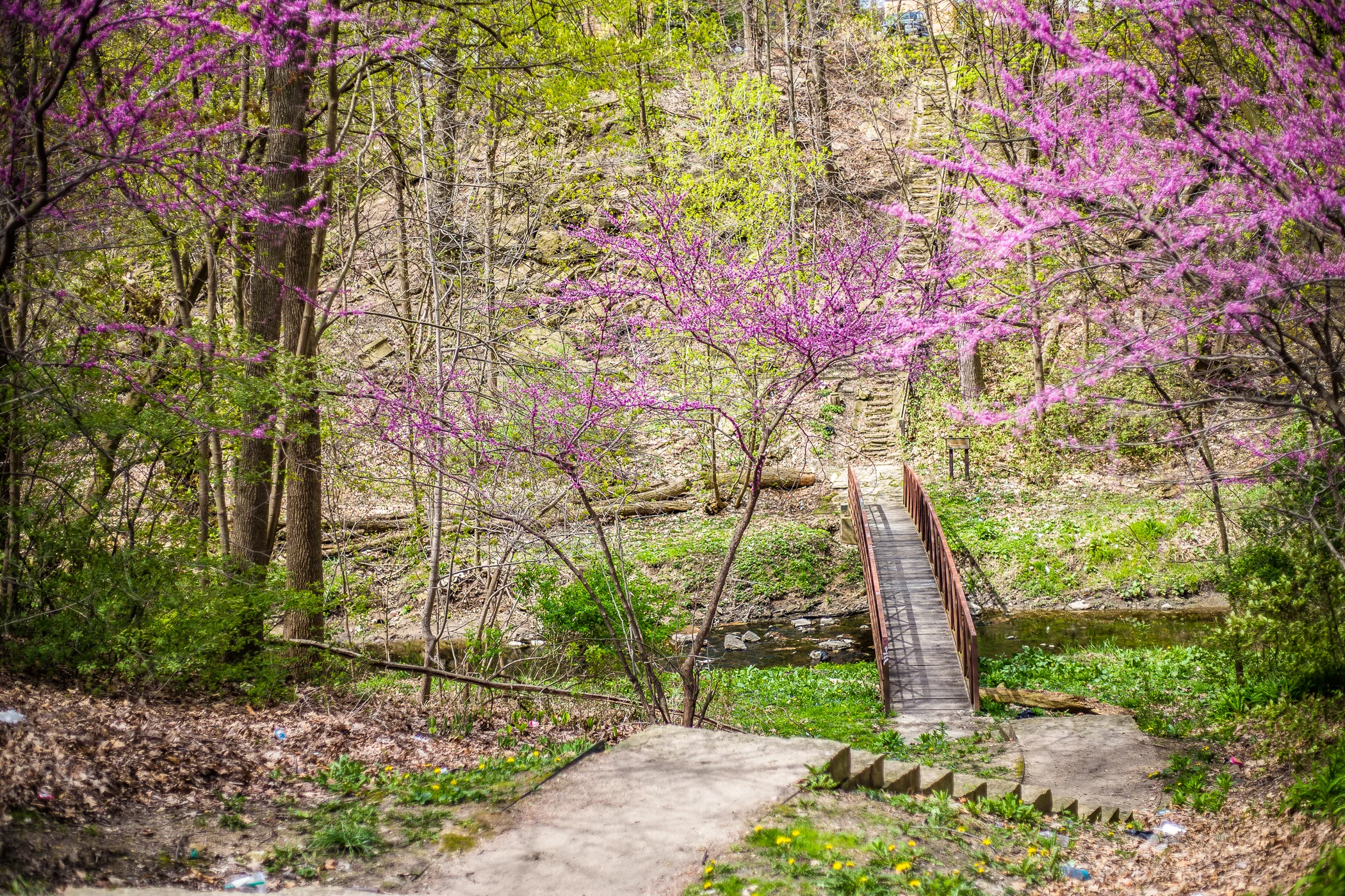 "Chapter 30: The Ravine": 8x12 print, matted to fit 11x14, $90