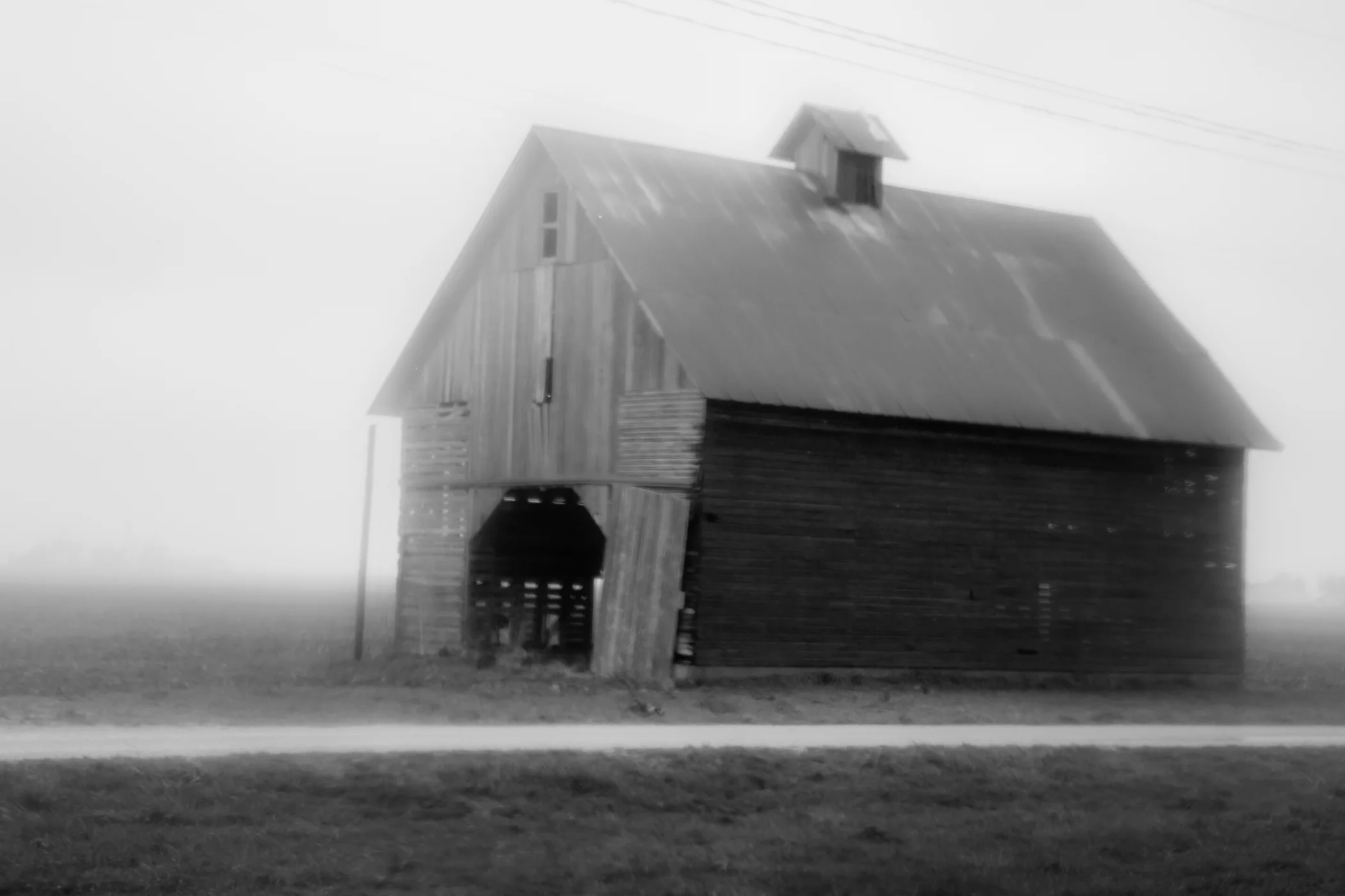 "Field of Fog": 8x12 print, matted to fit 11x14, $90