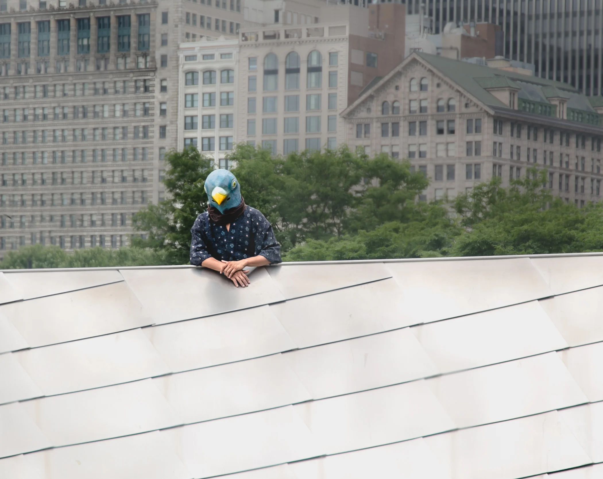 "The Birdman of Maggie Daley Park": 9x12 print, matted to fit 11x14, $90