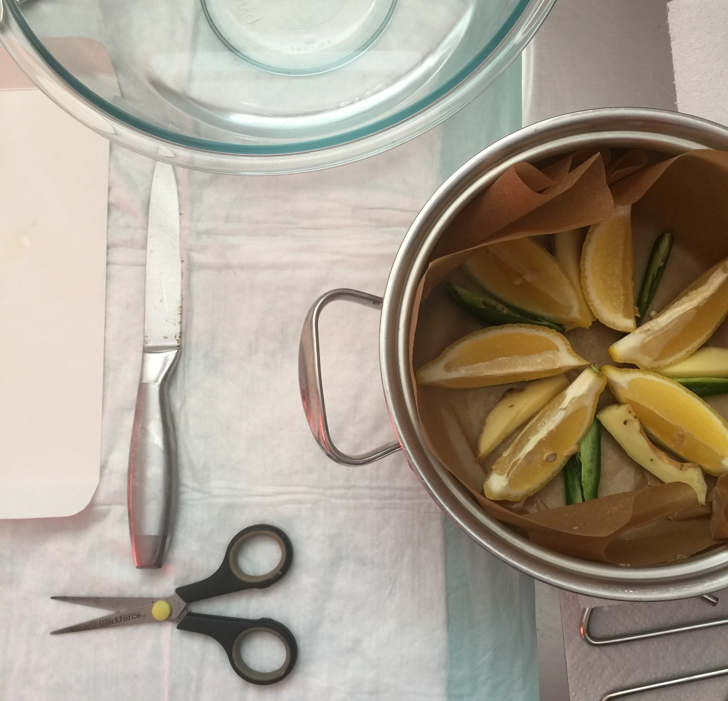 placenta1.jpg