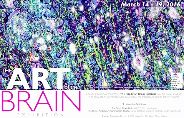 The Art of The Brain