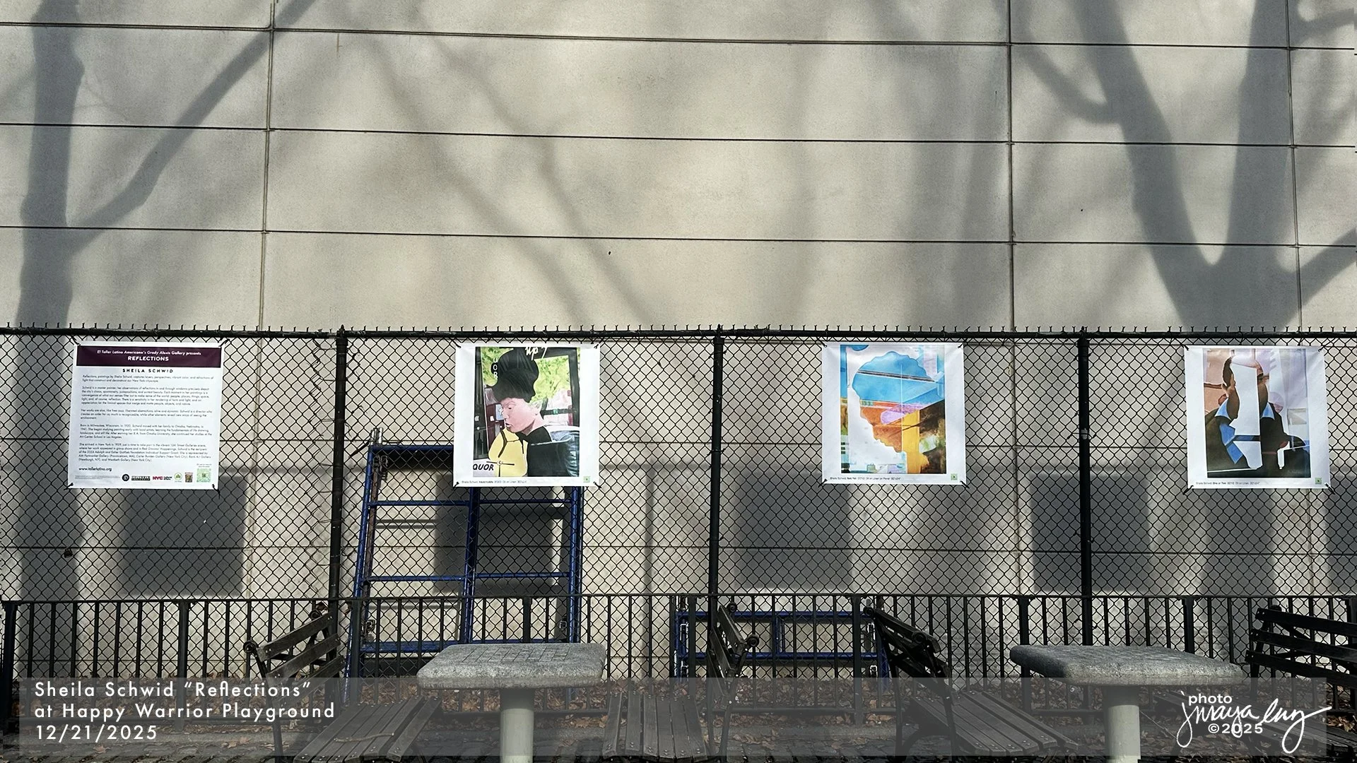 Sheila Schwid_Happy Warrior 12 21 2025 jmlp IMG_4453 copy.jpg