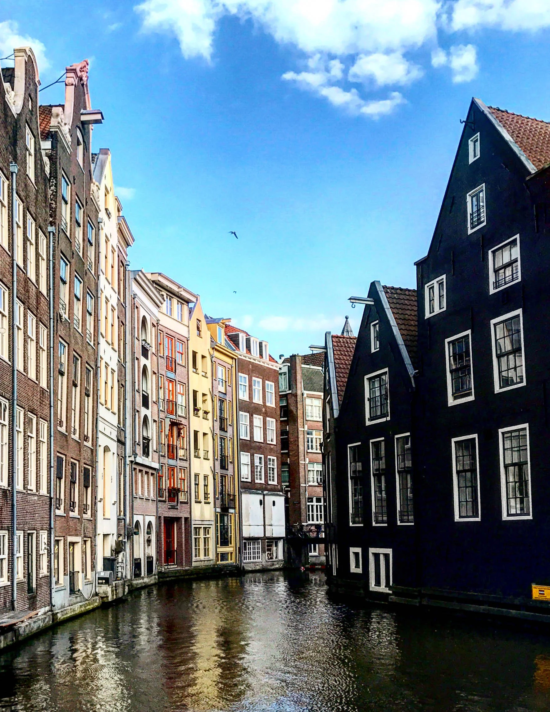 Reflections in Amsterdam