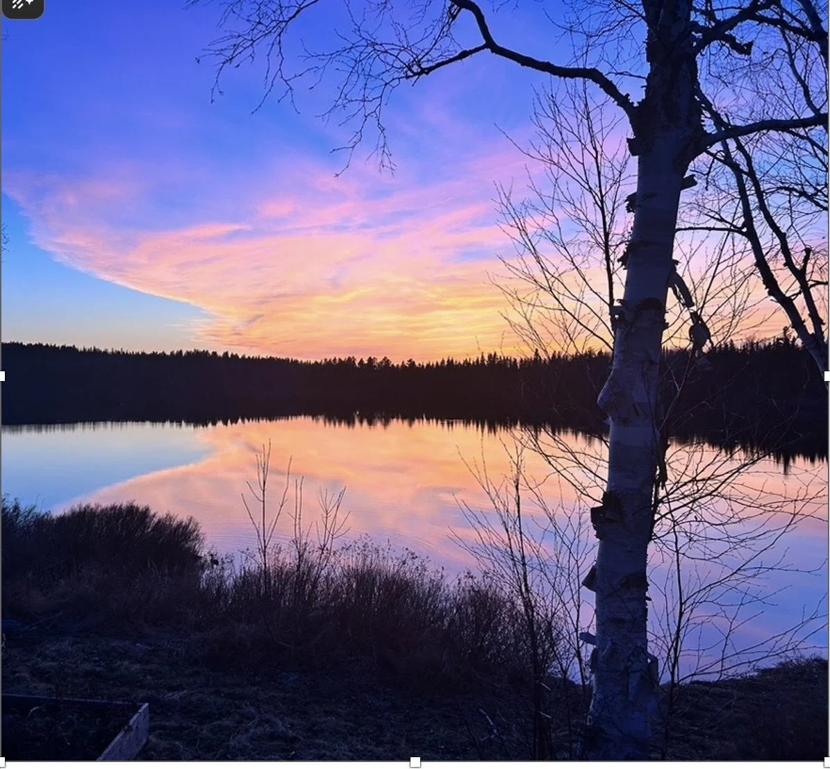 Capture d’écran, le 2026-04-07 à 18.19.01.jpeg