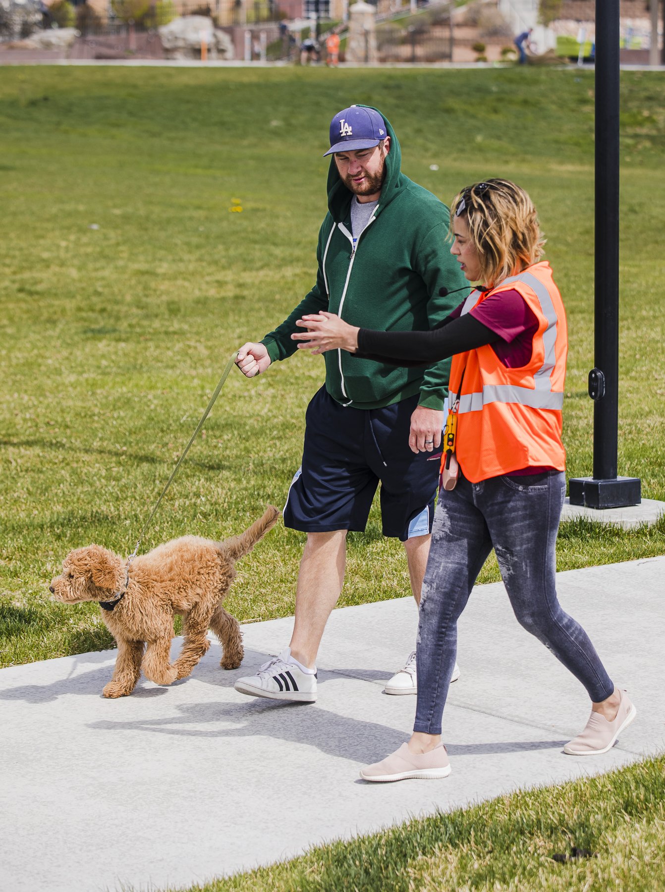 Dog Training for Utah County