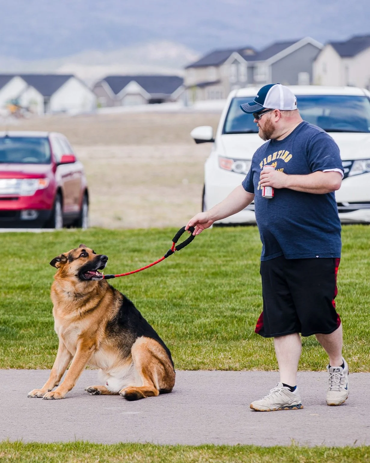 Dog Training for Utah County