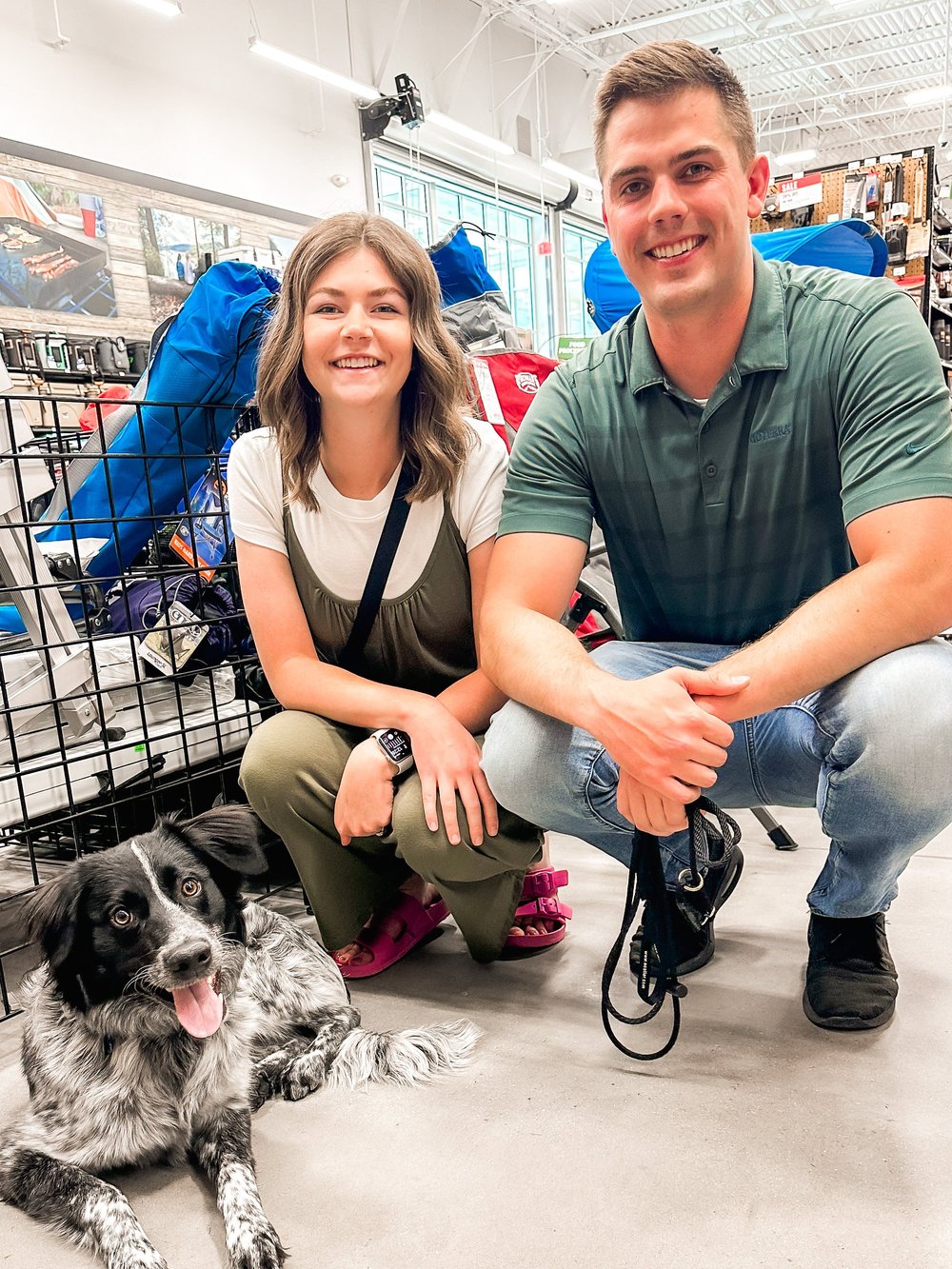 Dog Training for Utah County