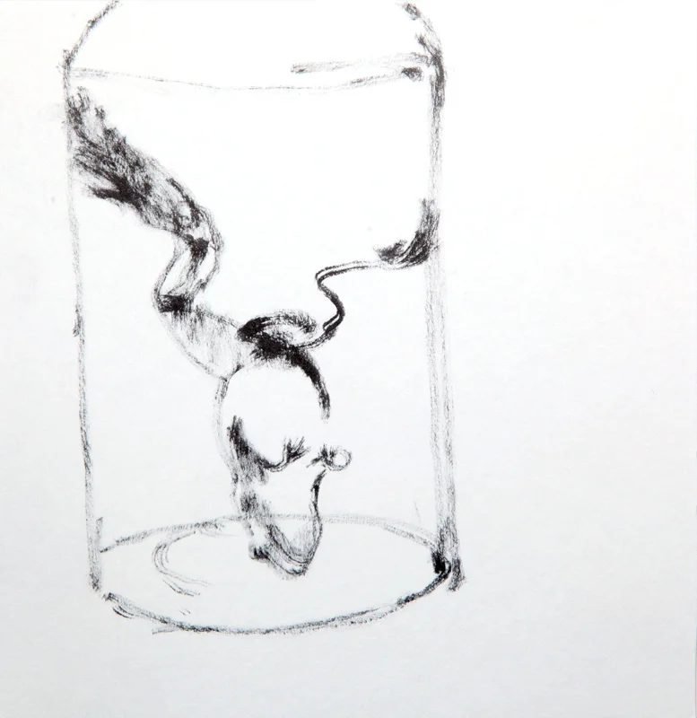 a frog in a jar