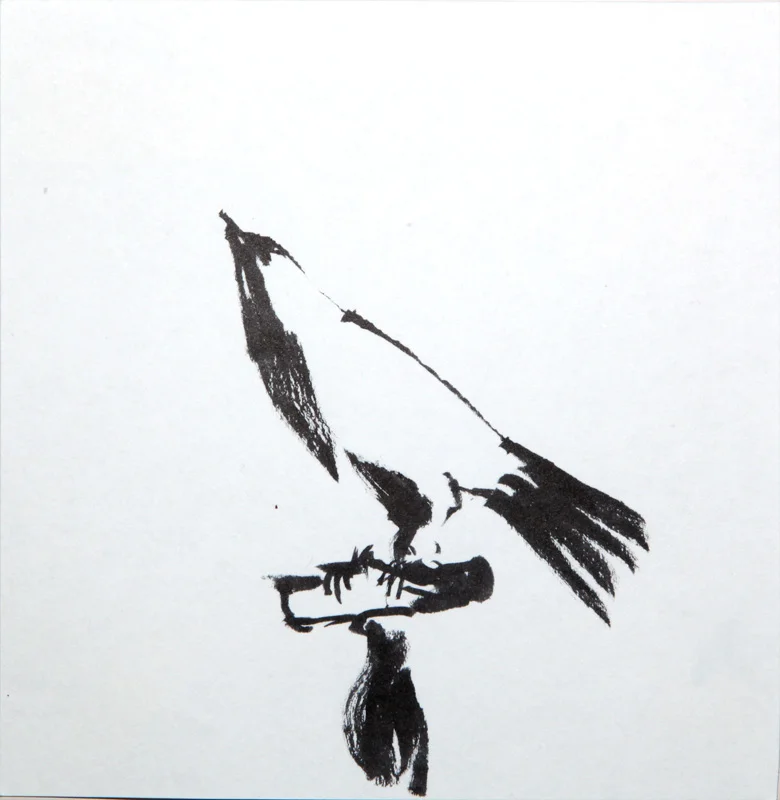 songbird