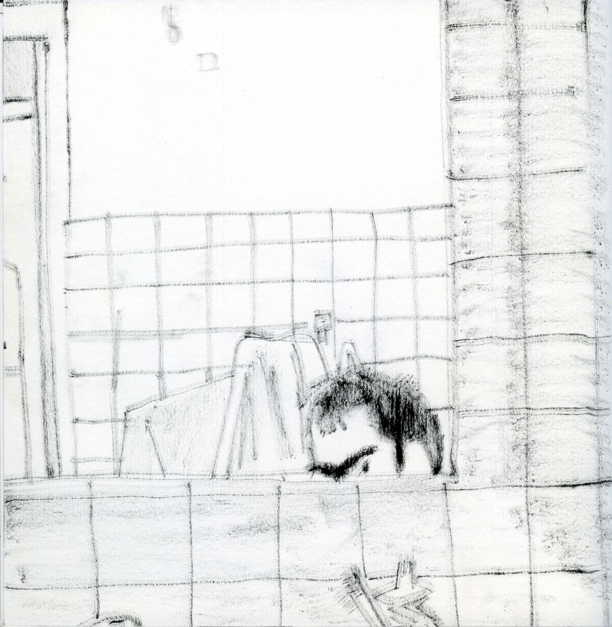 Self portrait (in the bathroom)