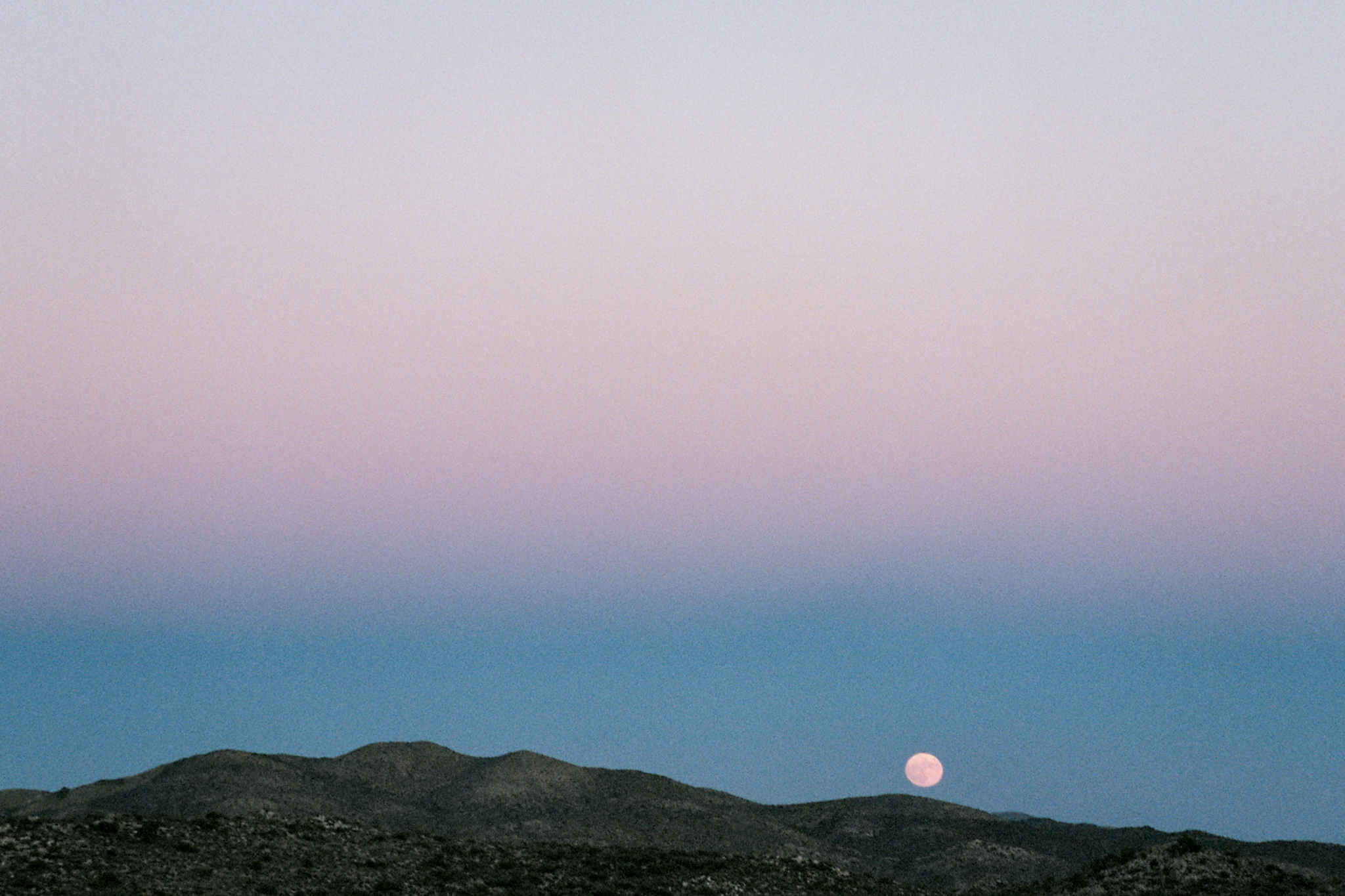Joshua Tree National Park, 2016 #travel #35mm #film