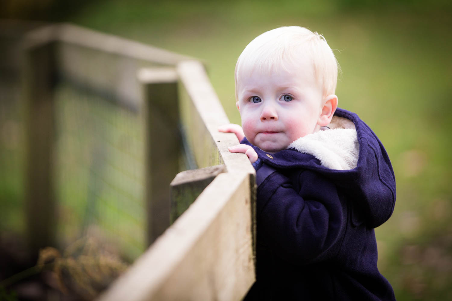 yorkshire-baby-child-family-photoshoot-photographer-temple-newsam-leeds-autumn