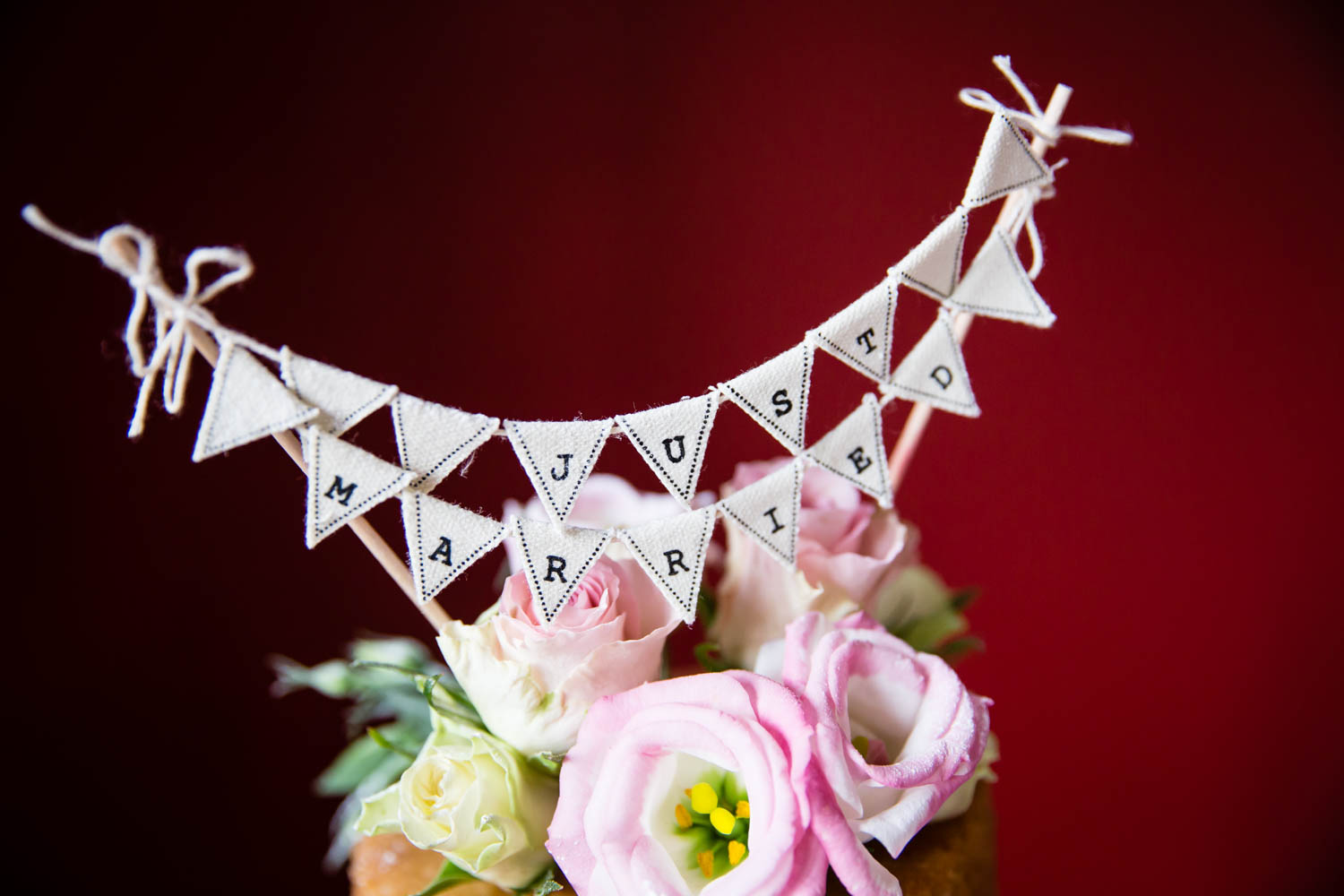 the-hospitium-museum-gardens-york-wedding-photography