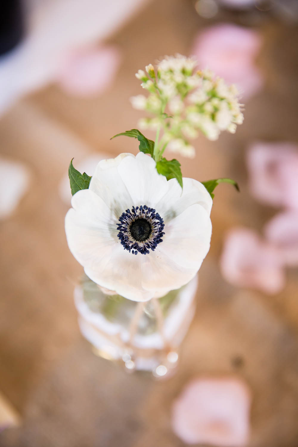 the-hospitium-museum-gardens-york-wedding-photography