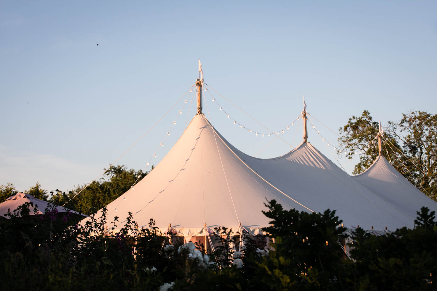 skipbridge-wedding-photography-york-summer-yorkshire