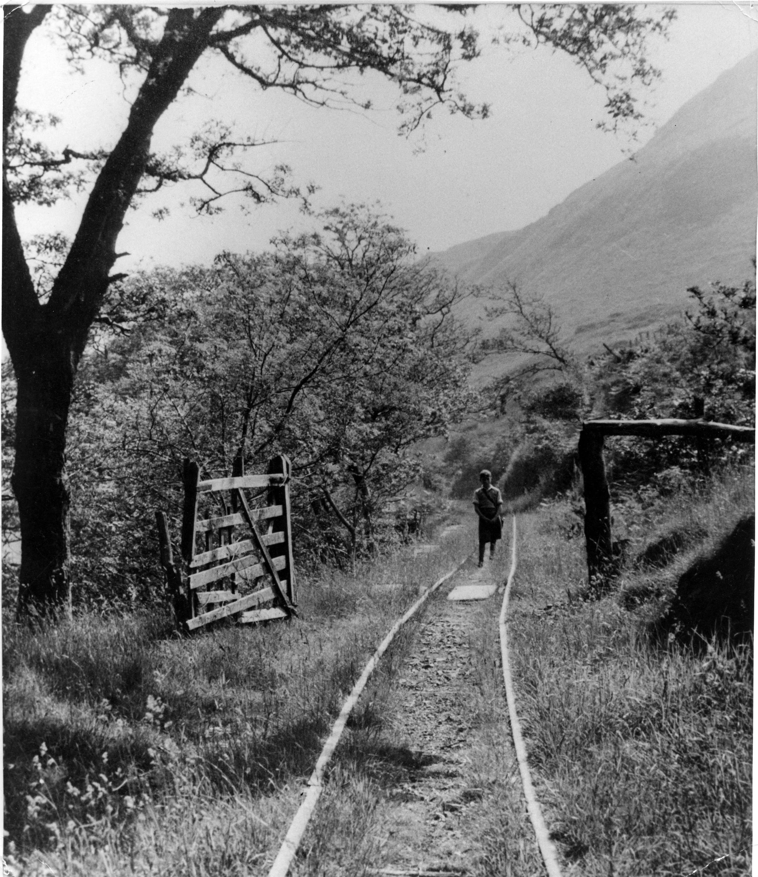 The Talyllyn in Old Newspapers