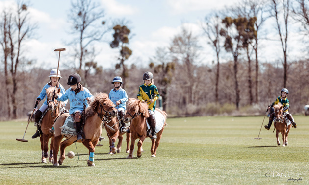 Polo Club du Domaine de Chantilly Poney Polo