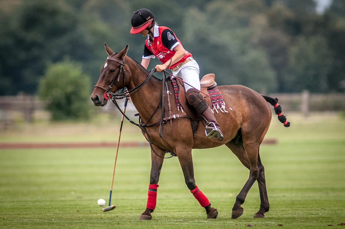 Initiation au polo au Polo Club du Domaine de Chantilly Polo initiation at Chantilly Polo Club
