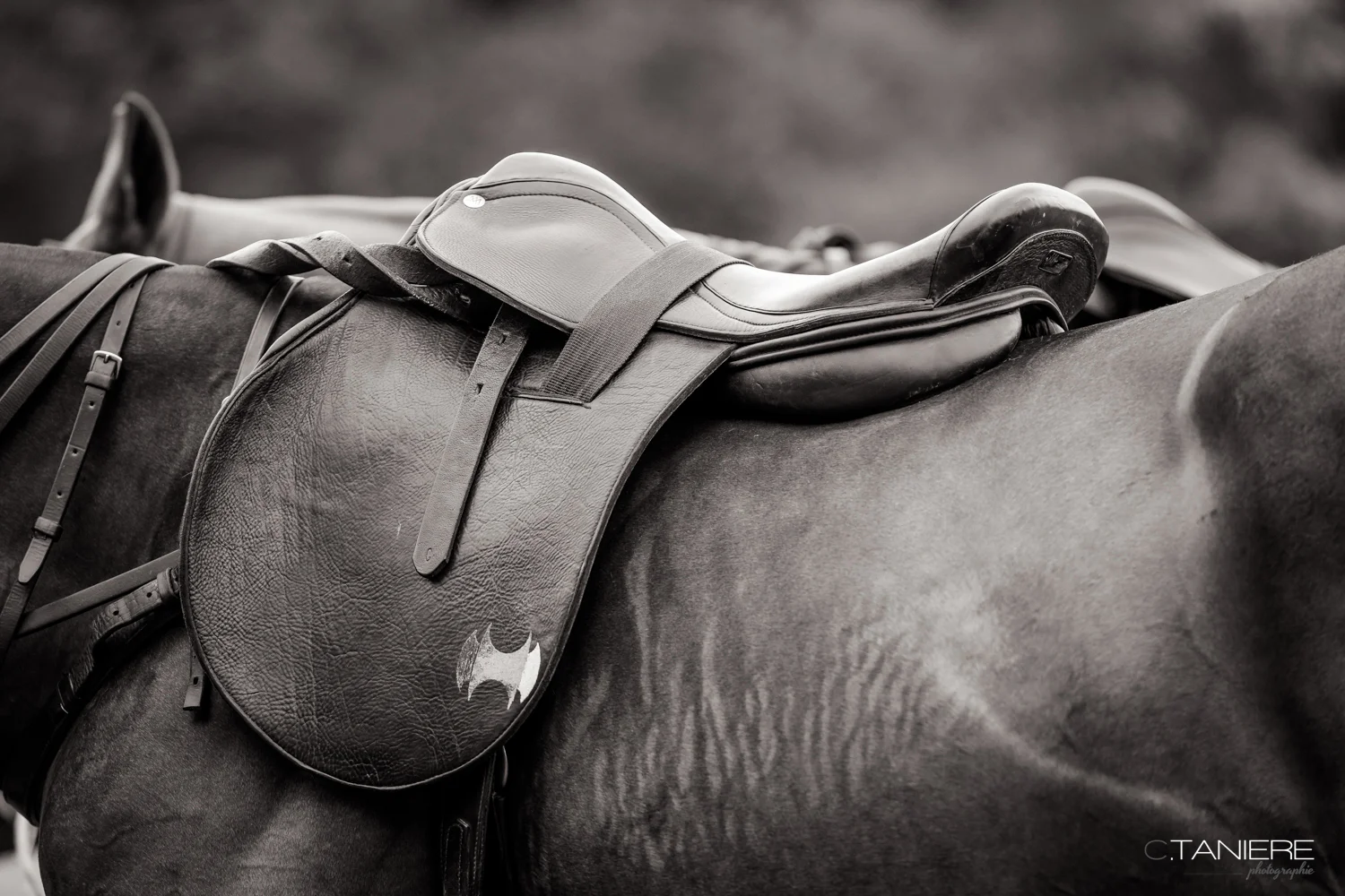 ....Tournois de printemps du 5 au 14 Mai 2017..Spring Tournaments from the 5th - 14th May 2017....