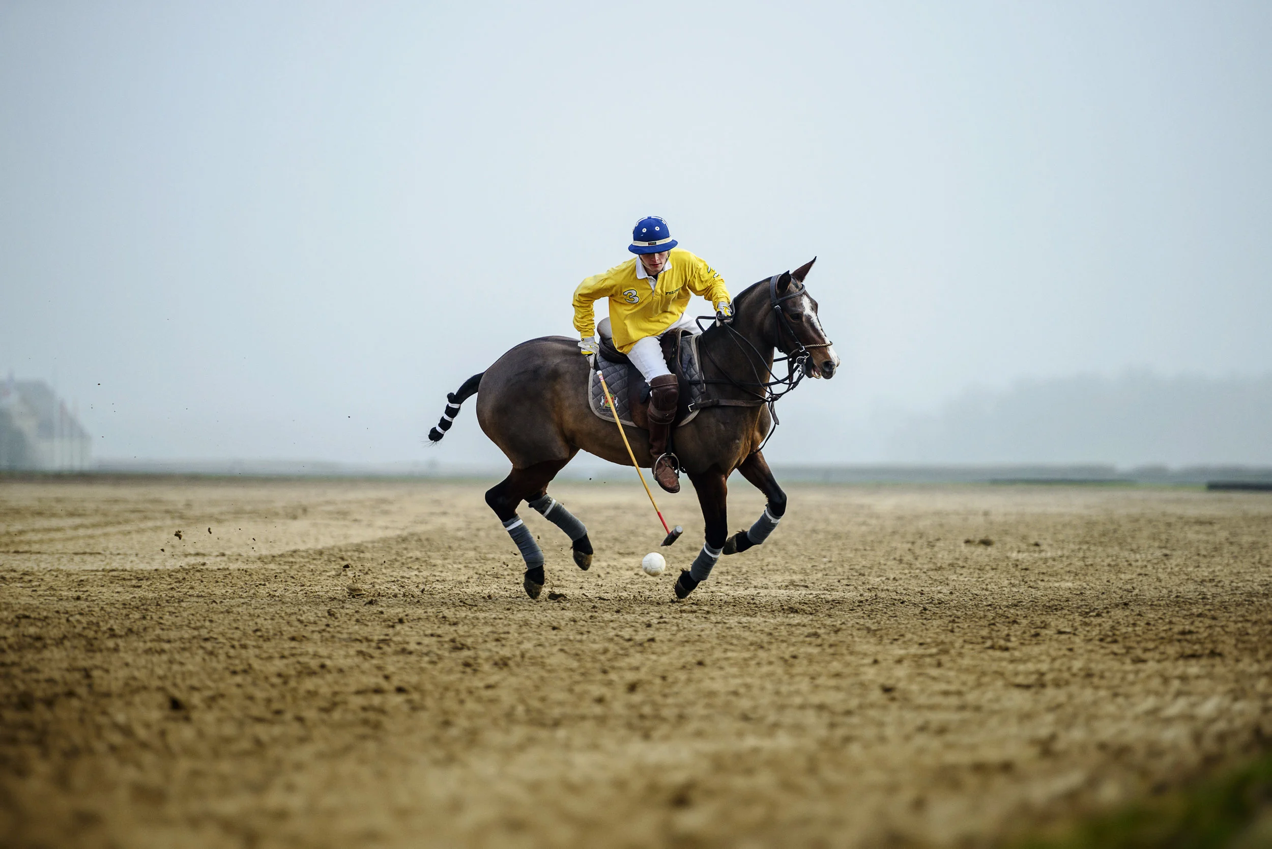 ARENA POLO TOUR - 9 &amp; 10 février 2019