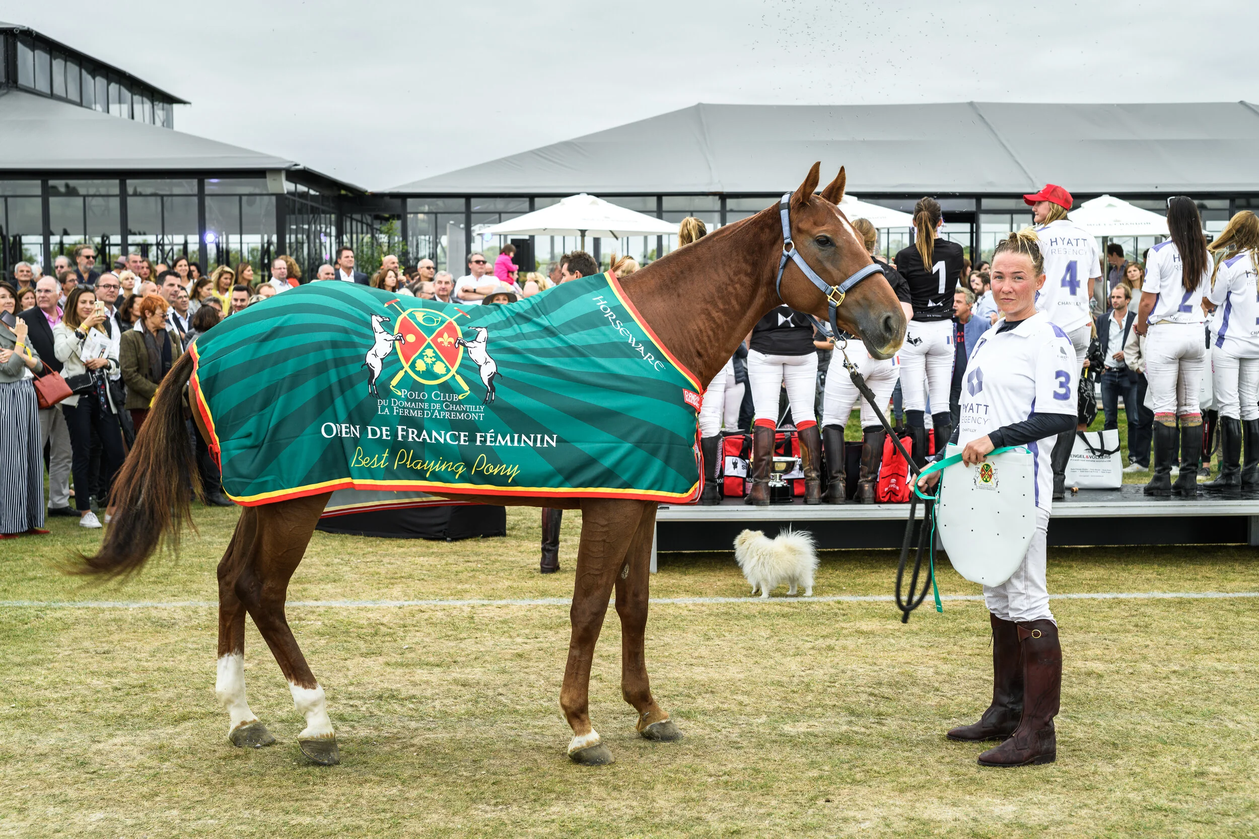 Meilleur cheval de la finale : Professora, jument alezane de 6 ans née en Argentine et montée par Alice Servaes de HYATT REGENCY CHANTILLY
