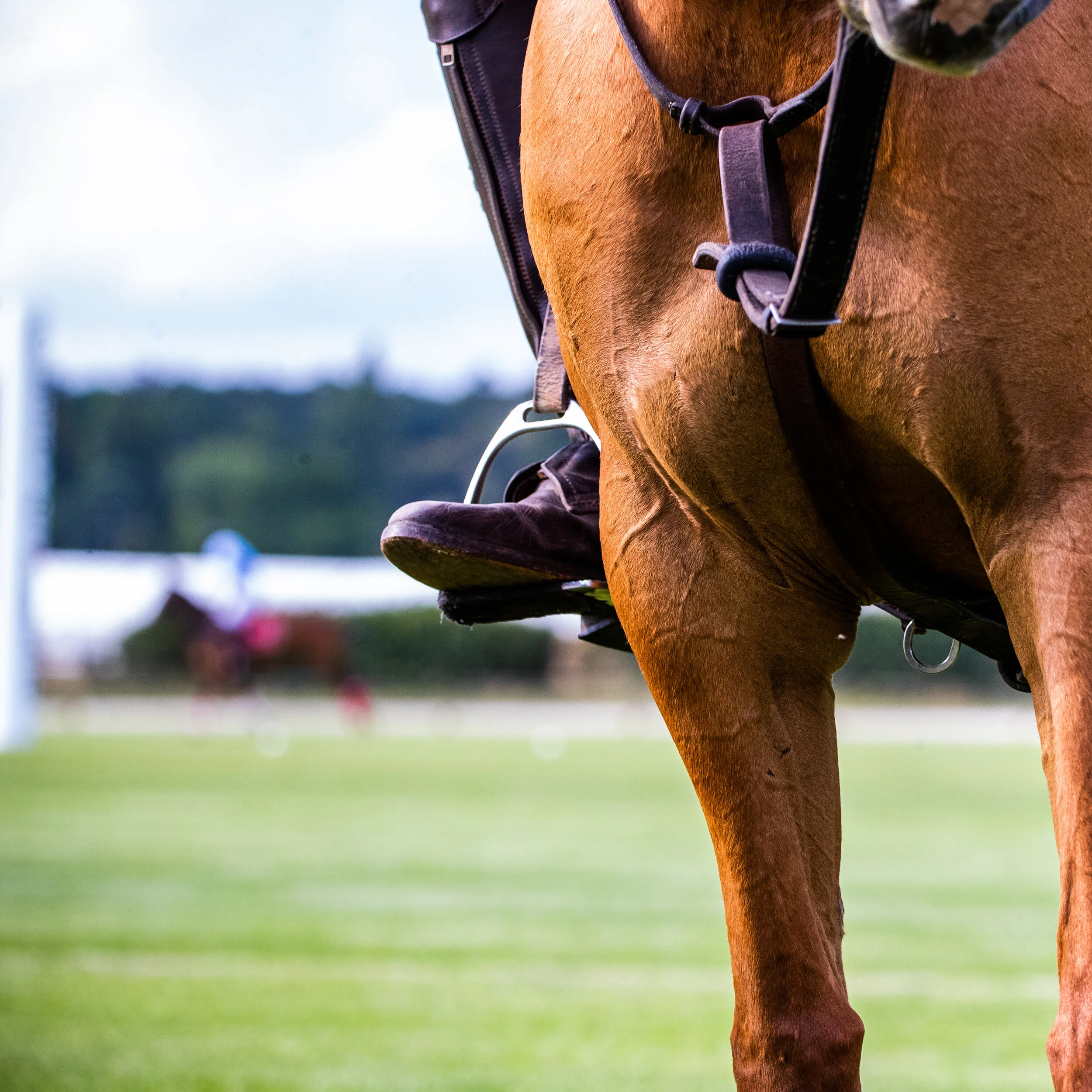 TOURNOIS DU 25 AU 26 JUILLET 2020