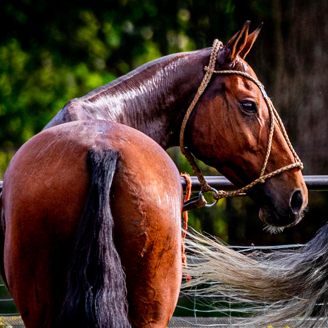 TOURNOIS DU 10 AU 18 OCTOBRE 2020