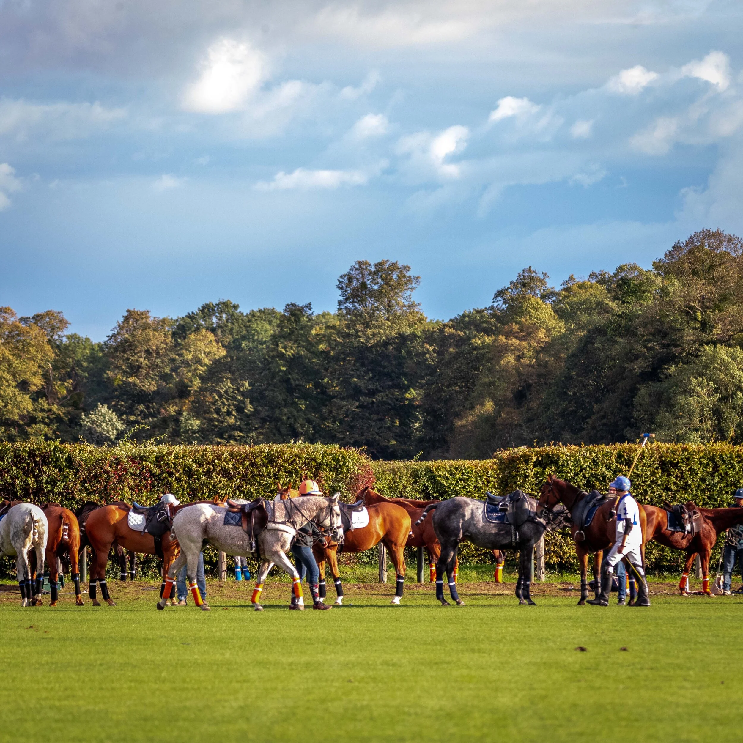 TOURNOIS DES 24 &amp; 25 OCTOBRE 2020