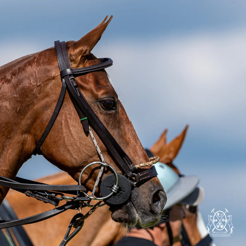 TOURNOIS DU 2 AU 11 JUILLET 2021