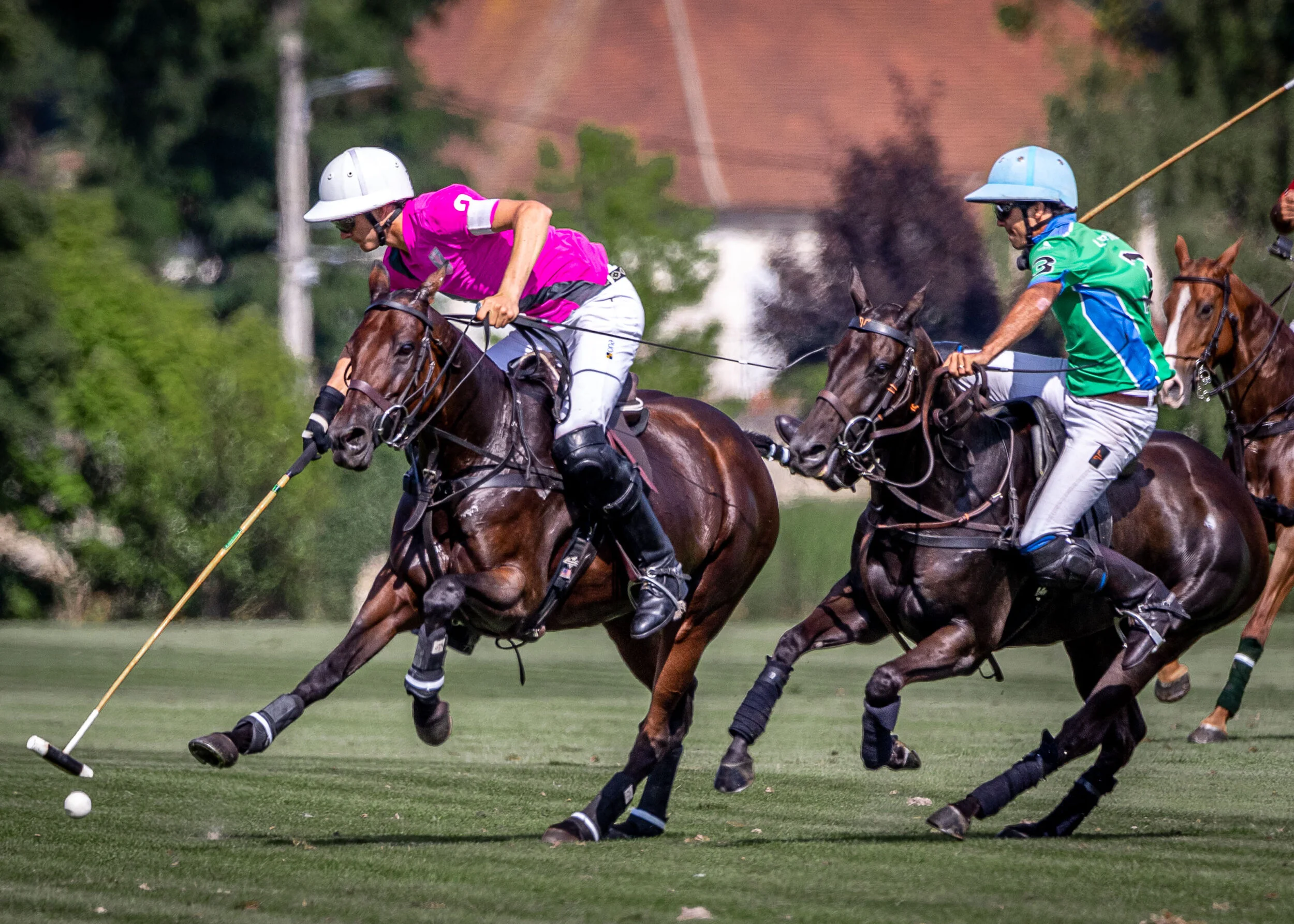 TOURNOIS du 3 au 19 SEPTEMBRE