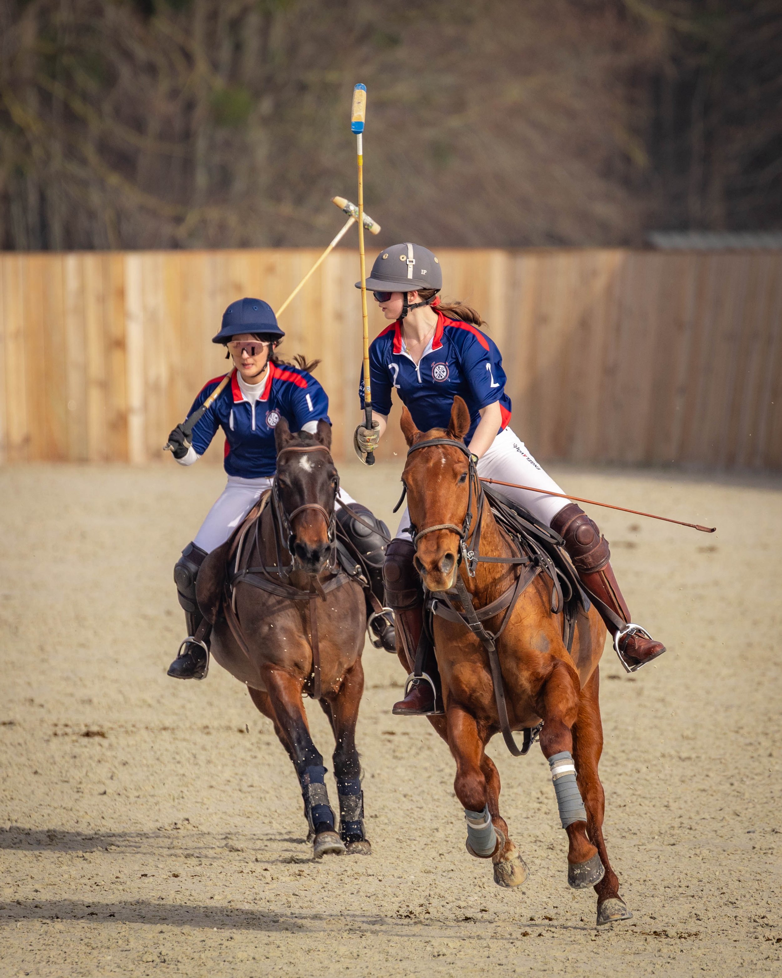 20260307 Arena Challenge #10 © Justine Jacquemot-530A0300.jpg