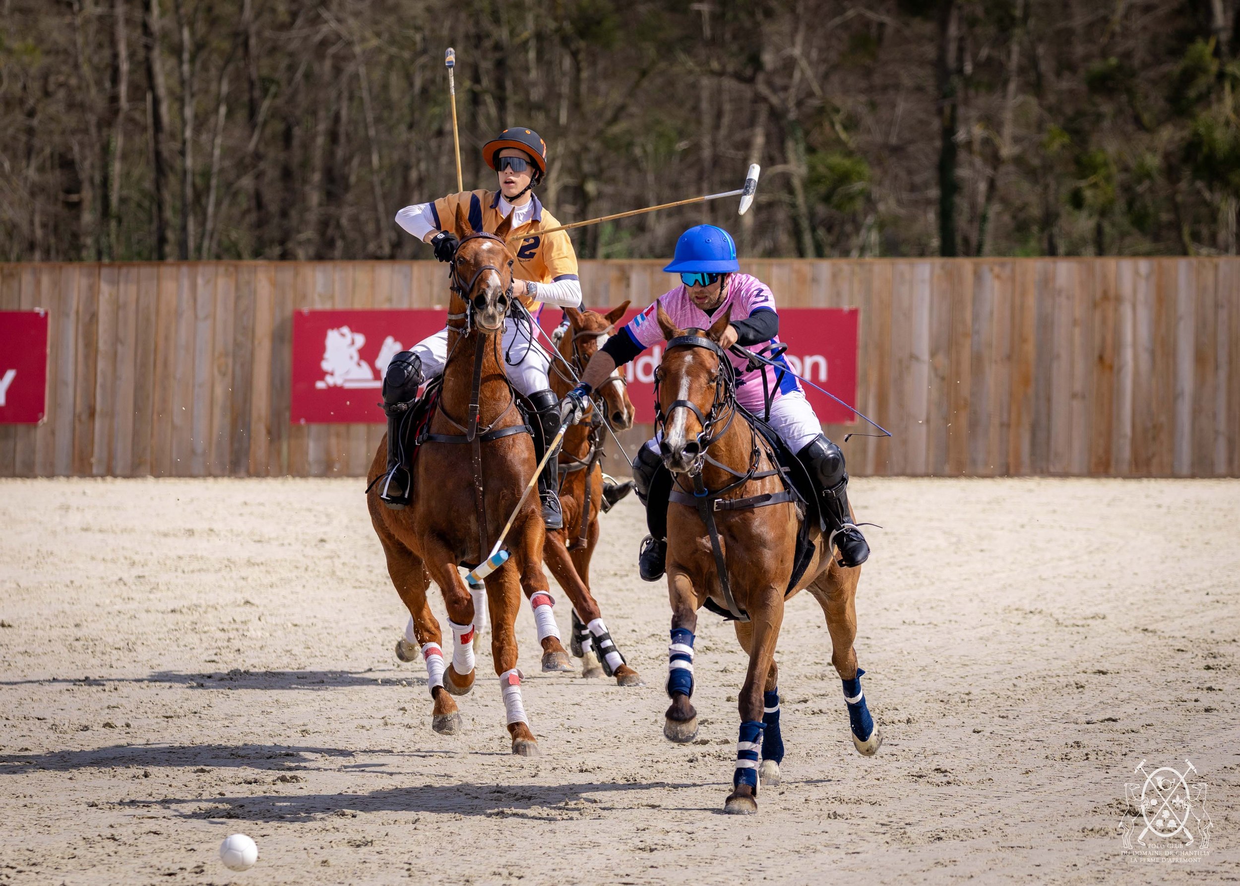 20260329 CHAMPIONNAT DE FRANCE & INAUGURATION ARENA © Justine Jacquemot-530A1752.jpg