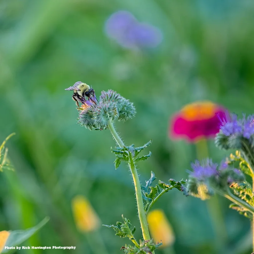 Muddy Roots Farm, LLC