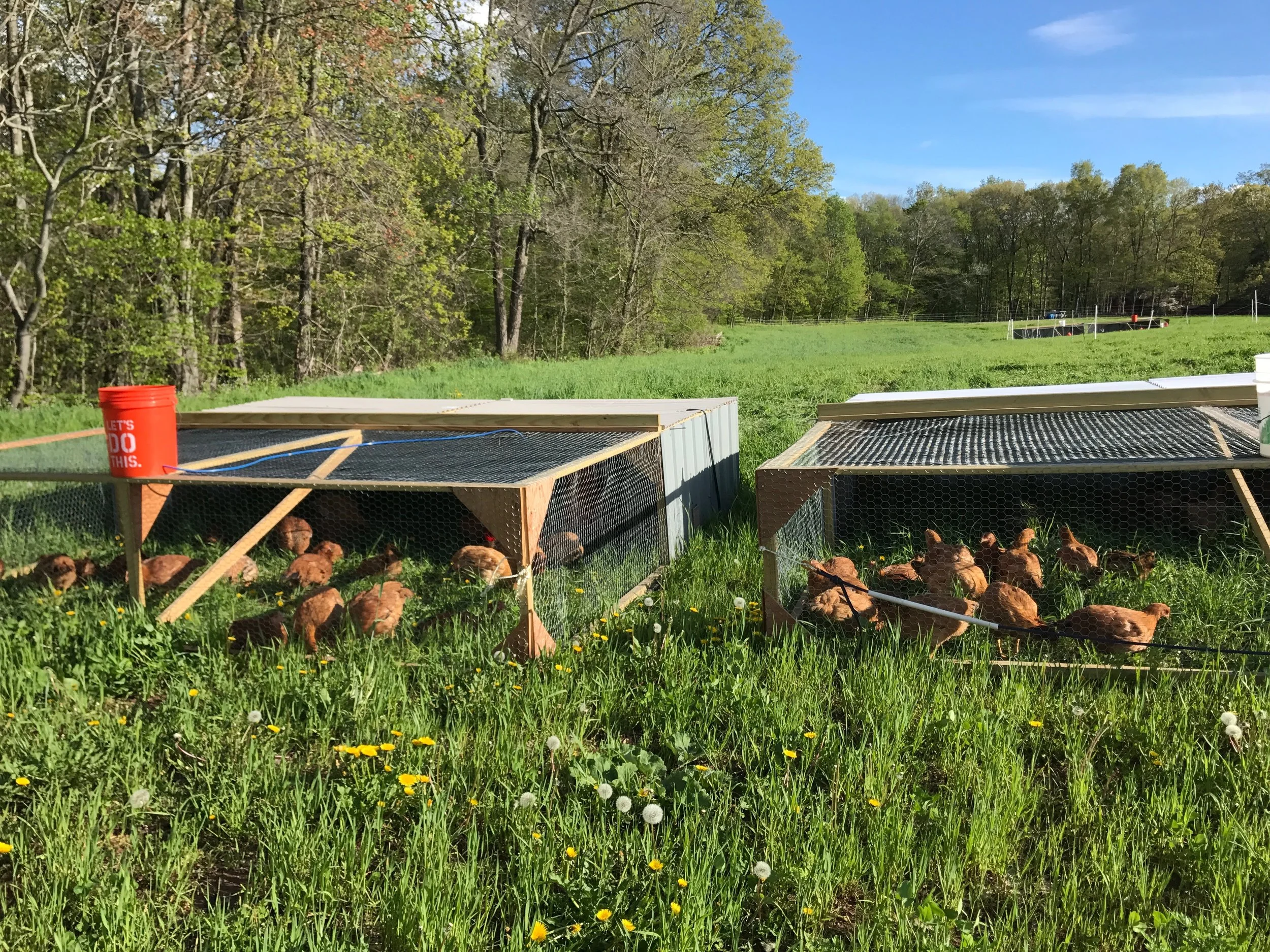 Portable Shelters