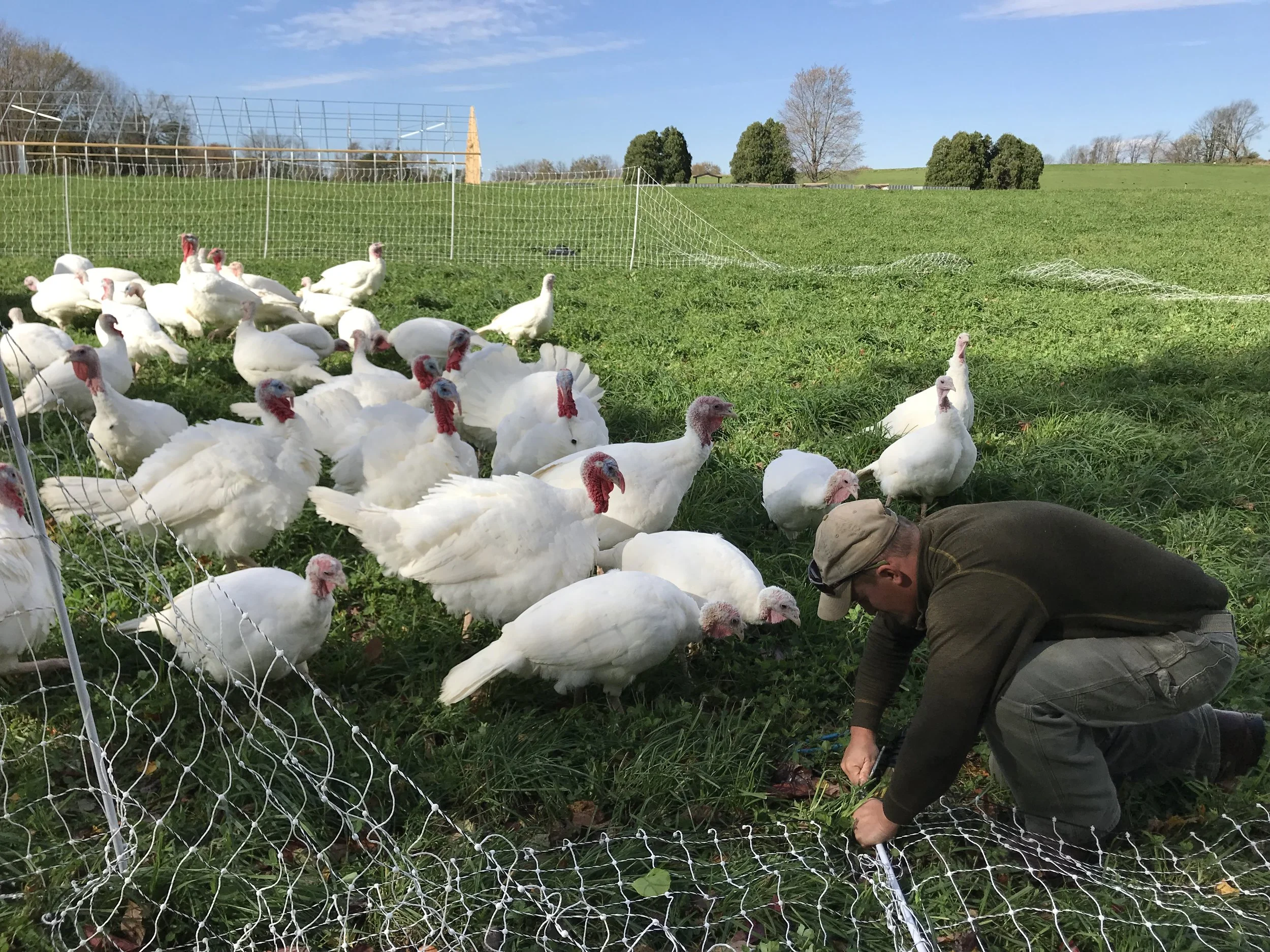 Muddy Roots Farm, LLC