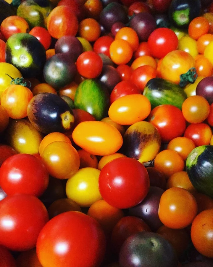 Muddy Roots Farm, LLC