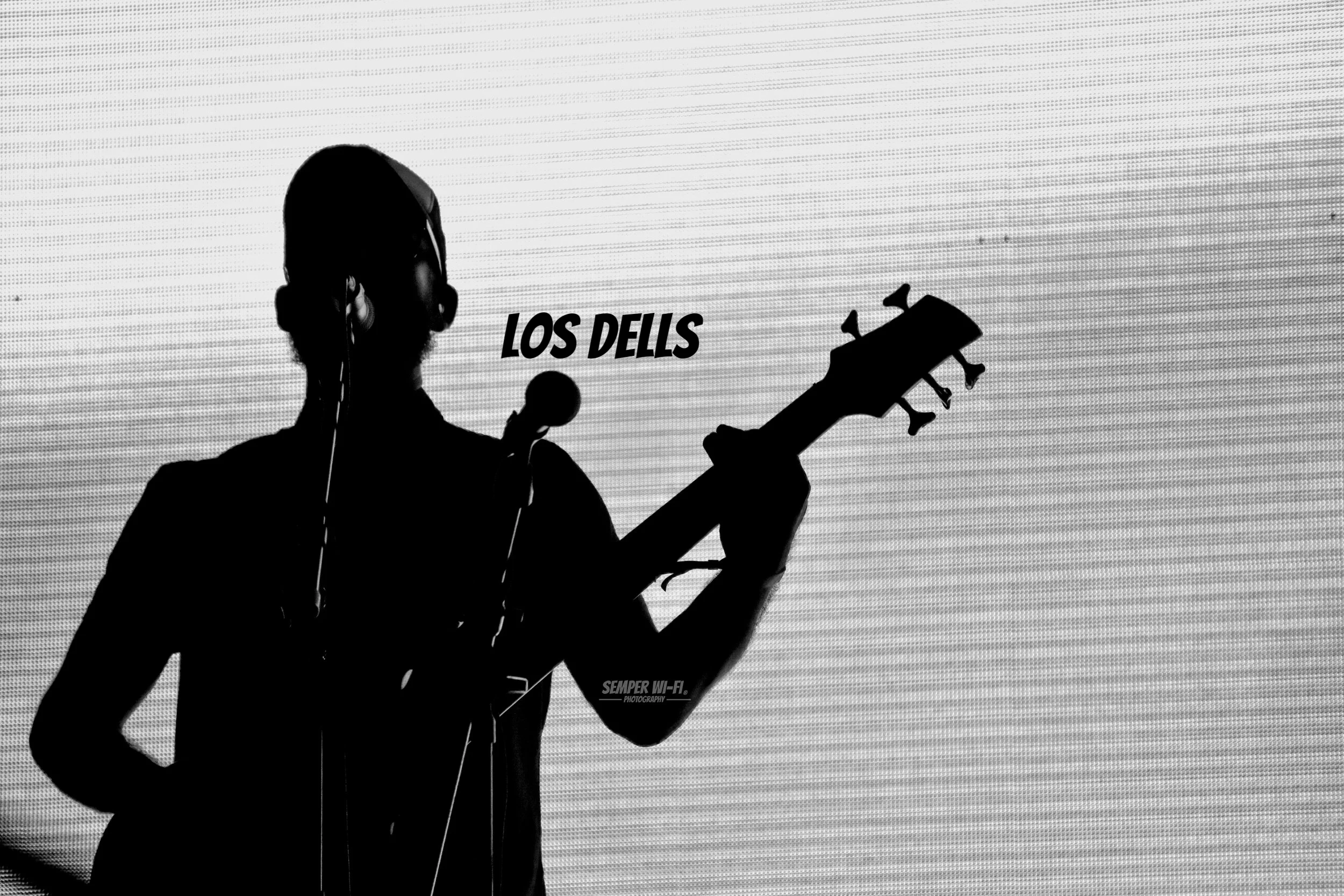 Los_Dells_Guitarist_Shadows.jpg