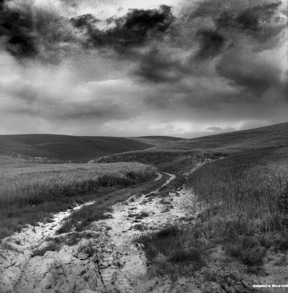 Tuscany's Hills  analogical view # 8