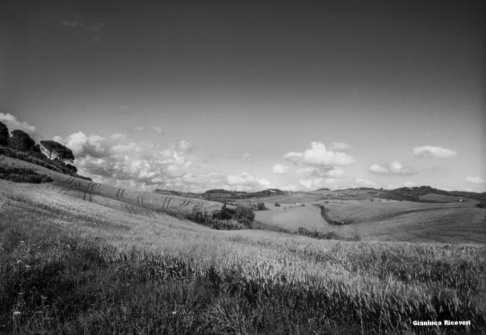 Tuscany's Hills  analogical view # 1