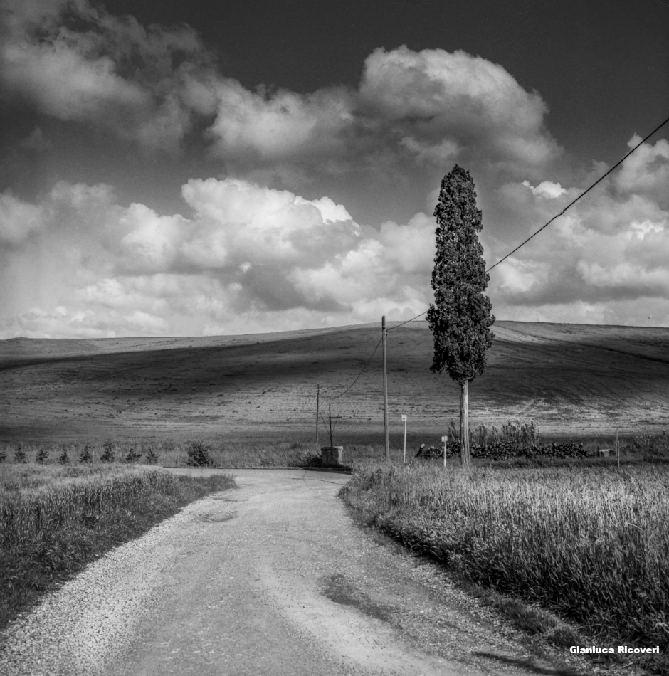 Tuscany's Hills  analogical view # 4